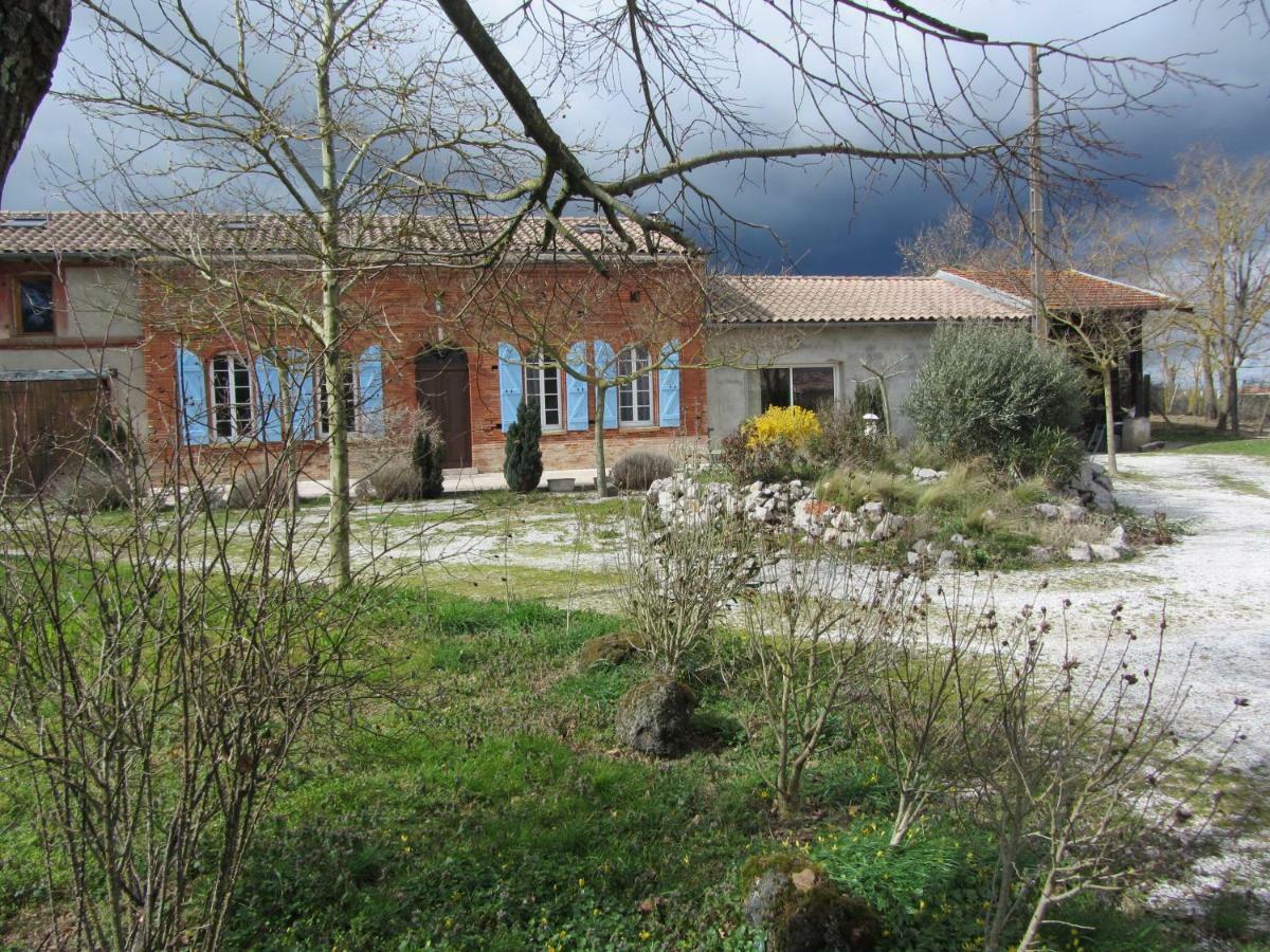 Le Piquet Villa Fonsorbes Ngoại thất bức ảnh