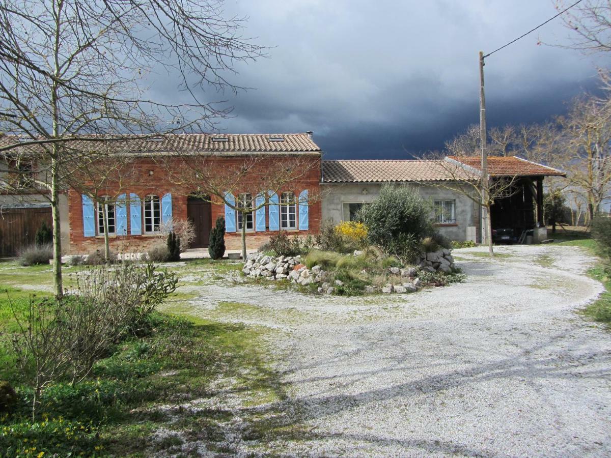 Le Piquet Villa Fonsorbes Ngoại thất bức ảnh